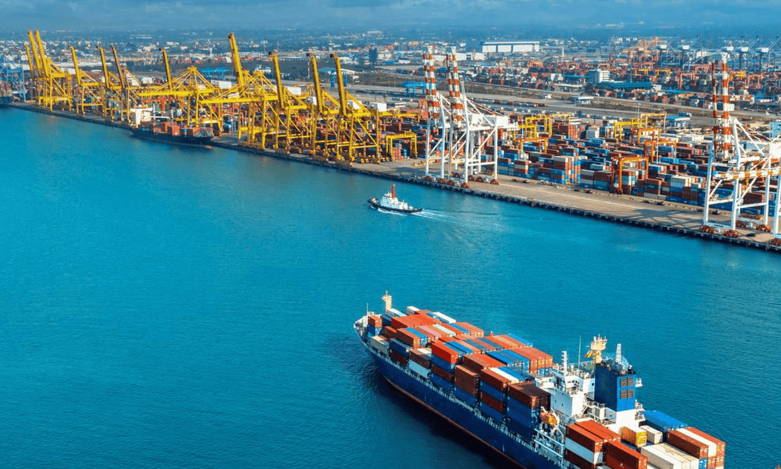 Husbandry Agent (Ship Chandler, Crew Changes, Visa Sponsor)